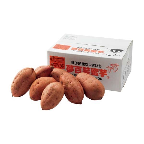 鹿児島県産 種子島 夢百姓安納芋2kg(お届け期間：11/11〜12/31)【冬の贈りもの・お歳暮】　商品画像1