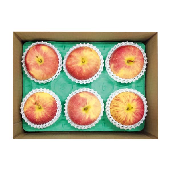 青森県産 葉とらずサンふじりんご(大玉)(お届け期間:12/1〜12/31)【冬の贈りもの・お歳暮】 商品画像1