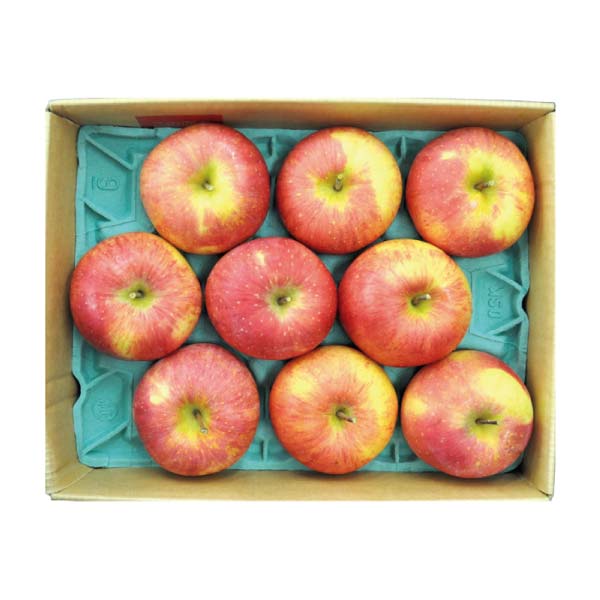 青森県産 葉とらずサンふじりんご(お届け期間：12/1〜12/31)【冬の贈りもの・お歳暮】　商品画像1