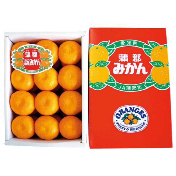 愛知県産(JA蒲郡市) 蒲郡ハウスみかん Sサイズ24個 (お届け期間：7/12〜8/15)【夏ギフト・お中元】　商品画像1