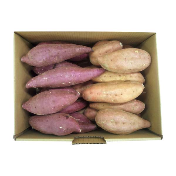 鹿児島県産(JA種子屋久) 安納いも・紅はるかセット(お届け期間:11/11〜12/23)【冬の贈りもの・お歳暮】 商品画像1