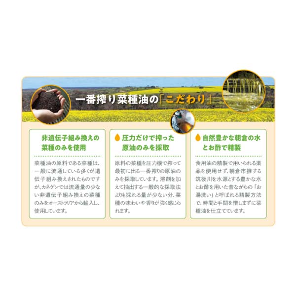 カネゲン 一番搾り純正菜種油3本セット【冬の贈りもの・お歳暮】　商品画像1