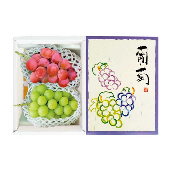長野県産 2色ぶどう詰合せ(お届け期間:11/11〜12/31)【冬の贈りもの・お歳暮】 商品画像1
