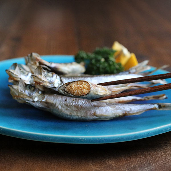 山田水産 山田の感涙ししゃも 4尾入×6【おいしいお取り寄せ】　商品画像1