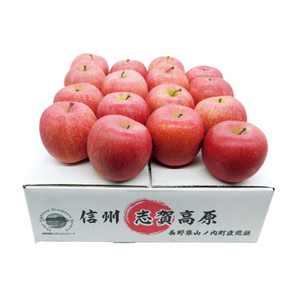 長野県産(山ノ内町夜間瀬) 志賀高原、夜間瀬のサンふじりんご(お届け期間：12/5〜12/31)【冬の贈りもの・お歳暮】　商品画像1
