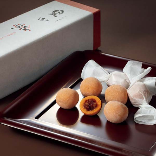 長門屋本店 チョコ羊羹ファンタジア・是山詰合せ【冬の贈りもの・お歳暮】　商品画像1