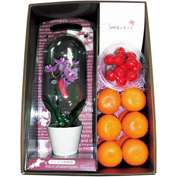 マイクロ胡蝶蘭と愛媛県産カラマンダリンと山形県産さくらんぼセット【母の日】 商品画像1