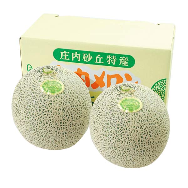 山形県産 庄内メロン(青肉)2個(お届け期間：7/5〜8/10)【夏の贈りもの・お中元】　商品画像1