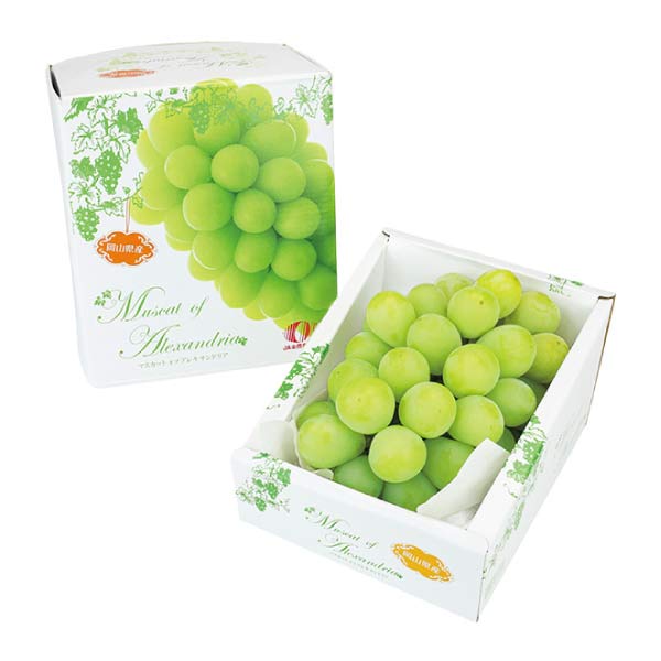 岡山県産 マスカット・オブ・アレキサンドリア(お届け期間：7/3〜7/31)【夏の贈りもの・お中元】　商品画像1