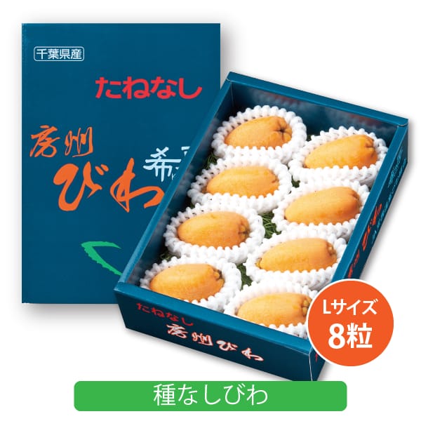 千葉県館山市産 渡邉さんの種なしびわ 8粒入り 【お届け期間:4/18(土)〜5/28(木)】【MK】　商品画像1