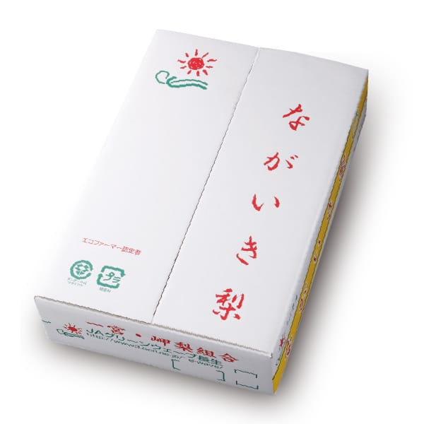 千葉県一宮・岬地区産 幸水梨 3L〜4Lサイズ5kg12・14玉【限定800点】【お届け期間:7/25(土)〜8/20(木)】【MK】　商品画像1