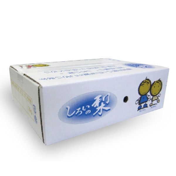 千葉県白井産 豊水梨 4Lサイズ5kg12玉【お届け期間:8/26(火)〜9/20(土)】【MK】　商品画像1