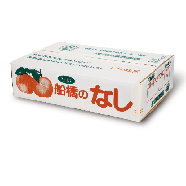千葉県船橋産 豊水梨 10kg20玉・24玉【限定50点】【お届け期間:8/25(月)〜9/20(土)】【MK】　商品画像1