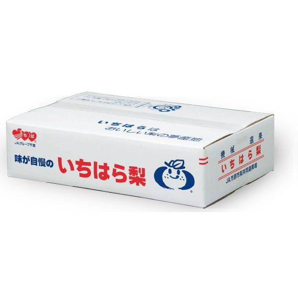 千葉県市原産幸水梨 3kg6・7・8玉【お届け期間:7/28(月)〜8/22