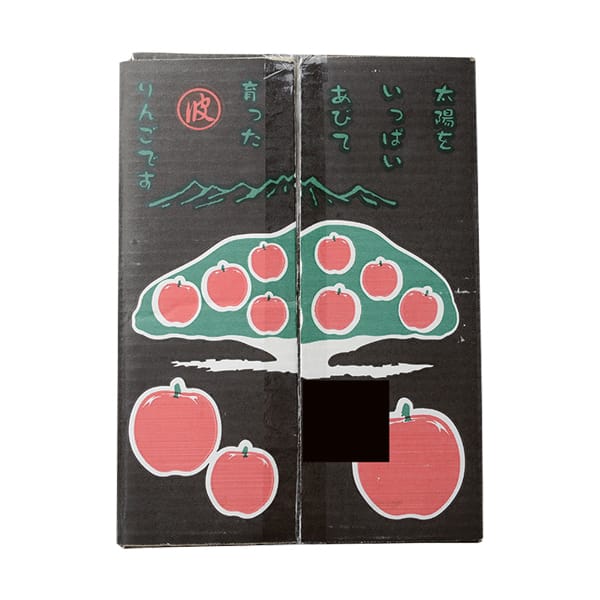 長野県(波田地区)産 波 果樹クラブのサンふじ8〜9玉入(2.8kg以上)【CB】　商品画像1