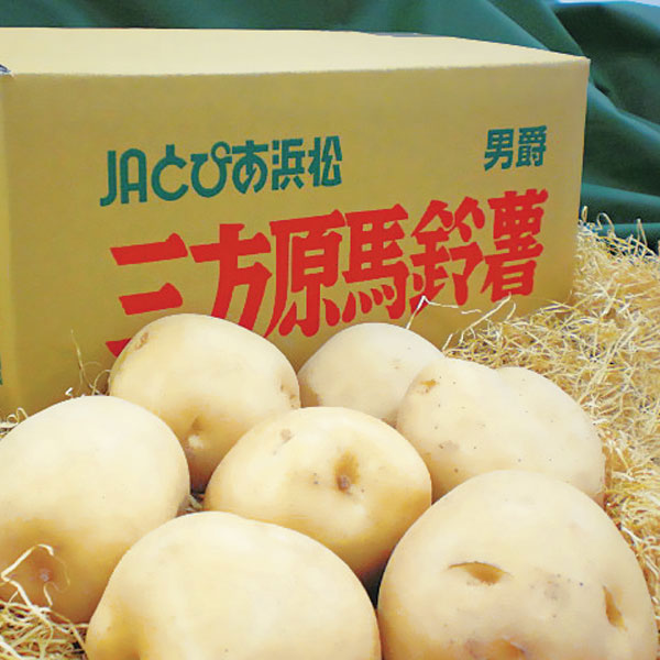 静岡県産(とぴあ浜松農業協同組合) 三方原馬鈴薯 5kg 産地箱【お届け期間:6月9日〜7月12日】【CB】　商品画像1