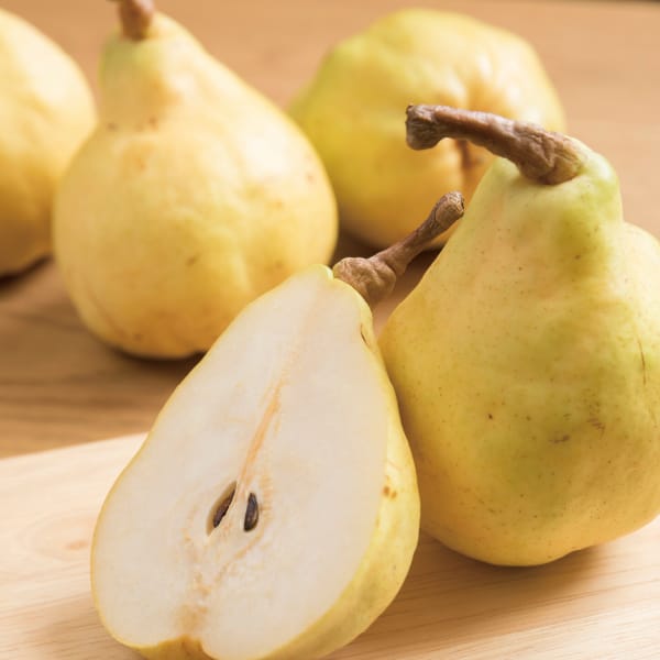 新潟県産 JAえちご中越天果糖逸出荷販売協議会 ル レクチエ 3.9kg以上(7〜14玉)【お届け期間】2025/11/21‐2025/12/20【KN】　商品画像1