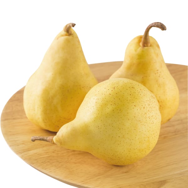 新潟県産 JA佐渡羽茂 ル レクチエ 1.9kg以上(4〜6玉)【お届け期間】2025/11/21‐2025/12/20【KN】　商品画像1