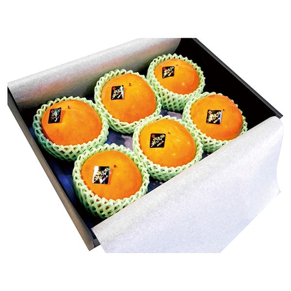 岐阜県産(JA全農岐阜) 柿(ねおスイート) 天下富舞5玉または6玉【CB】 商品画像1