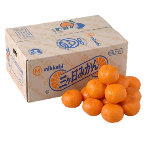 静岡県産(JAみっかび) 三ケ日みかん Sサイズ4kg【CB】　商品画像1