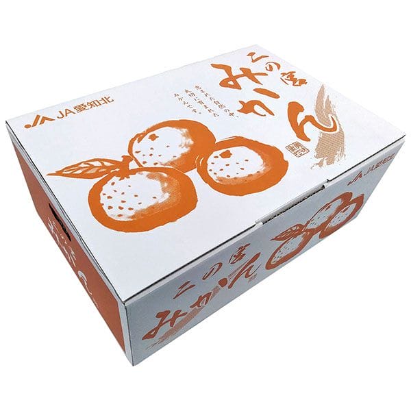 愛知県産(JA愛知北) 二の宮みかん Sサイズ3kg【CB】　商品画像1