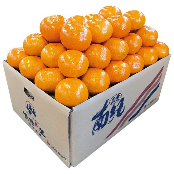 三重県産(JA伊勢) 三重南紀みかん(柑) Sサイズ 5kg【CB】　商品画像1