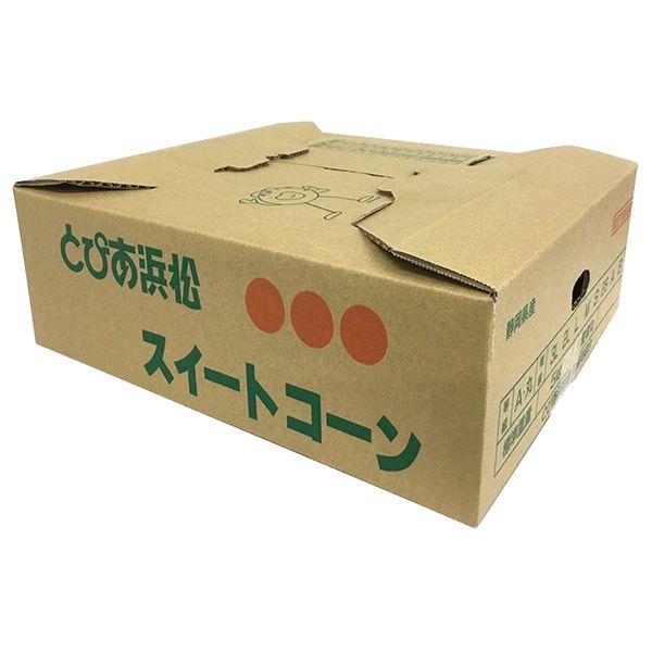 静岡県産(とぴあ浜松農業協同組合) とうもろこし(スイートコーン) 3Lサイズ 産地箱(12本入)【お届け期間:6月9日〜6月30日】【CB】　商品画像1