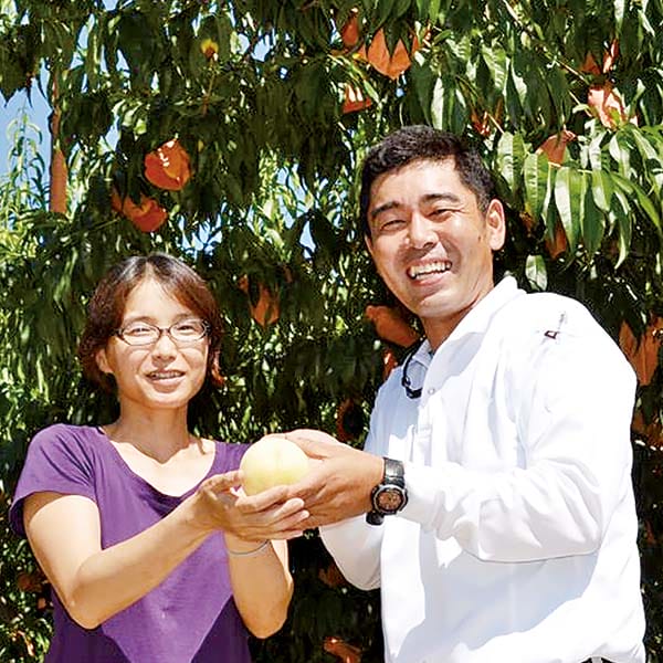 岡山県産(岡山市一宮地区)板野さんの清水白桃 計1kg以上・3個入り【お届け期間:7月15日〜8月9日】【旬鮮便】【NN】　商品画像1