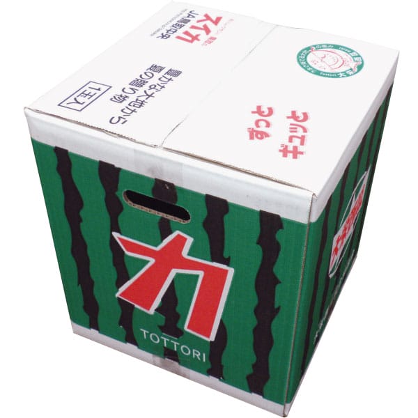 鳥取県産(JA鳥取中央) 大栄すいか化粧箱 2Lサイズ・1玉入り【お届け期間:6月15日〜7月31日】【旬鮮便】【NN】　商品画像1
