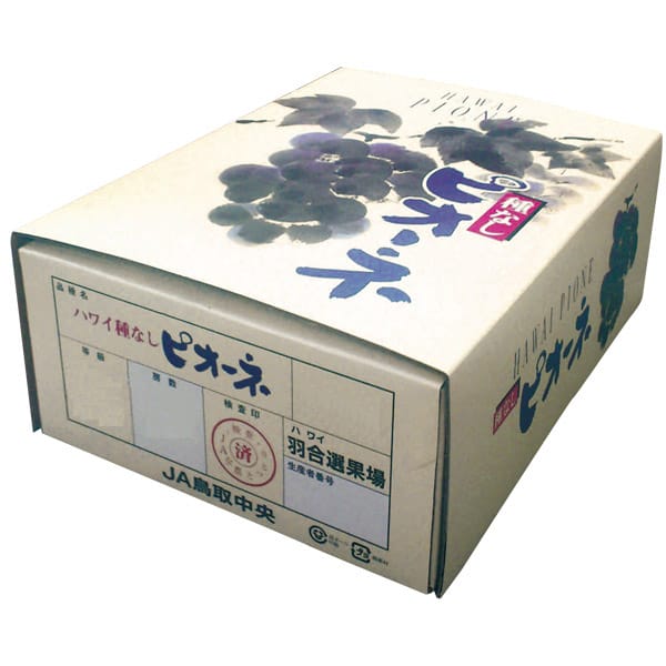鳥取県産(JA鳥取中央) ハワイピオーネ化粧箱 計2kg以上・4房入り【お届け期間:8月1日〜8月13日】【旬鮮便】【NN】　商品画像1