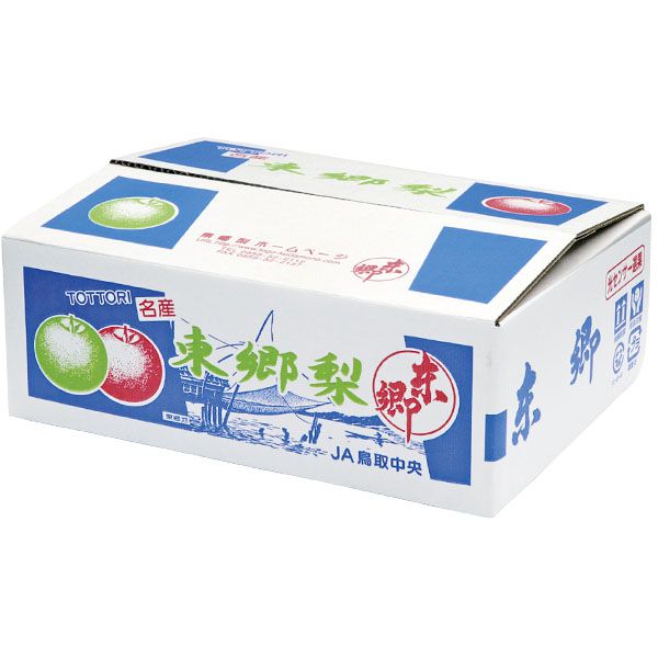 鳥取県産(JA鳥取中央) 東郷の二十世紀梨 赤秀2kg3L6玉または4L5玉(お届け期間:8月26日〜9月25日)【NN】　商品画像1