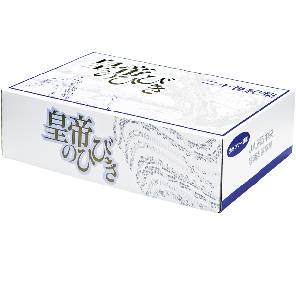 鳥取県産(JA鳥取中央)琴浦「皇帝の響」(こうていのひびき)(二十世紀梨) 2kg 3L6玉【お届け期間:8月31日〜9月25日】【梨ギフト】【NN】 商品画像1