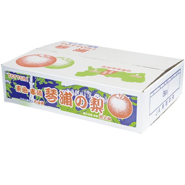 鳥取県産(JA鳥取中央) 琴浦の新甘泉梨 赤秀5kg5L10玉(お届け期間