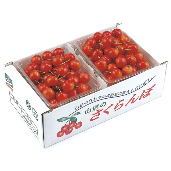 山形県産（上山市） さくらんぼ 紅秀峰 秀品 Lサイズ以上 300g×2パック 常温お届け 【お届け期間：6/21〜7/5】【おいしいお取り寄せ】　商品画像1