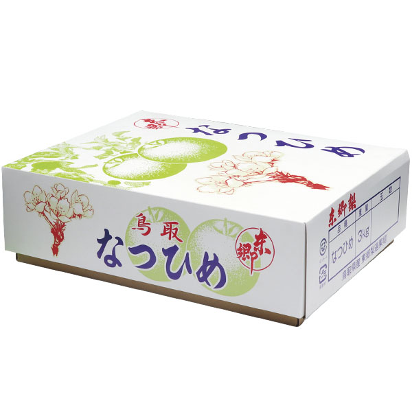 鳥取県産(JA鳥取中央)東郷のなつひめ梨 赤秀3kg 4L8玉または5L6玉【お届け期間:8月20日〜8月31日】【梨ギフト】【NN】　商品画像1