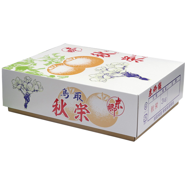 鳥取県産(JA鳥取中央)東郷の秋栄梨 赤秀3kg 4L8玉【お届け期間:8月22日〜9月10日】【梨ギフト】【NN】　商品画像1