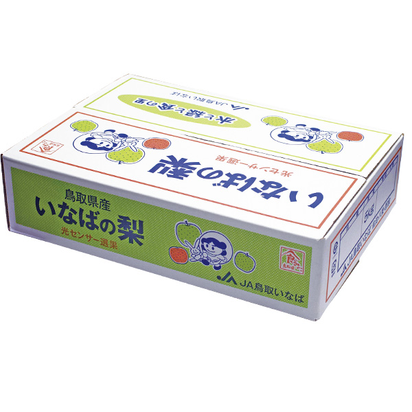 鳥取県産(JA鳥取いなば)いなばの二十世紀梨 赤秀5kg L18玉または2L16玉【お届け期間:8月26日〜9月25日】【梨ギフト】【NN】 商品画像1