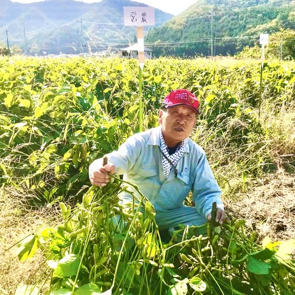 兵庫県三田市産 JA兵庫六甲 丹波黒大豆枝豆 枝付き 2kg 秀品 枝付き1kg 2束入【限定300点】 【お届け期間：10月14日〜10月31日】【旬の味覚便】【ふるさとの味・近畿】　商品画像1