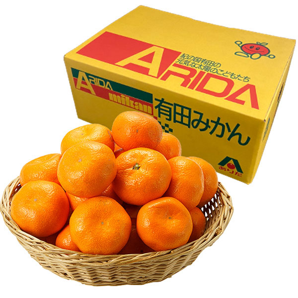 和歌山県産(JAありだ)有田みかん Lサイズ3kg【限定100箱】【お届け期間：11/25(月)〜12/17(火)】【ふるさとの味・東海】　商品画像1