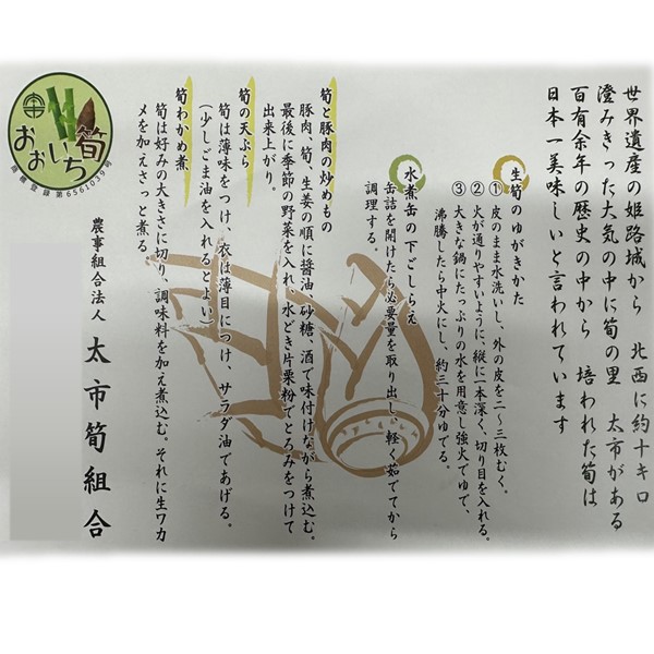 兵庫県産 太市たけのこ 2kg【お届け期間:4月1日〜4月20日】【春野菜】【NN】 商品画像1