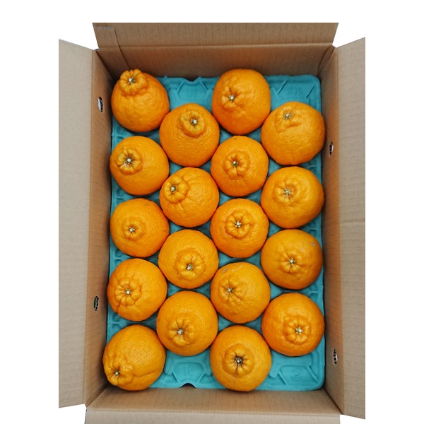 和歌山県産(JAわかやま ありだ地域本部)デコポン4.5kg 【お届け期間:2026年3月10日〜2026年3月25日】【NN】　商品画像1