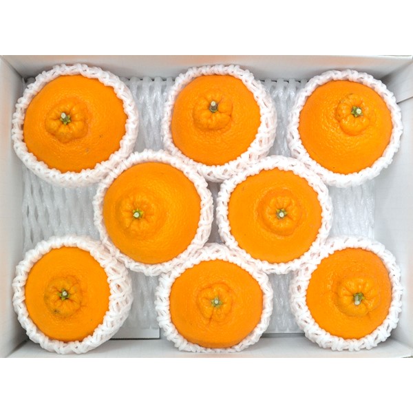 和歌山県産(JAわかやま ありだ地域本部)デコポン1.8kg 【お届け期間:2026年3月10日〜2026年3月25日】【NN】　商品画像1