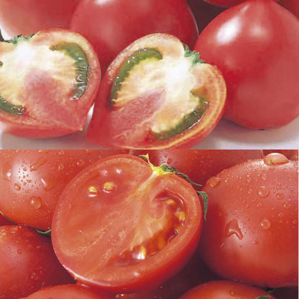高知県産フルーツトマト食べ比べセット(600ｇ×２)【お届け期間:3月13日