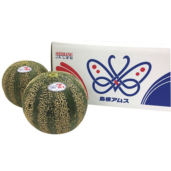 島根県産(JAしまね) アムスメロン化粧箱 優以上3〜5玉入り【お