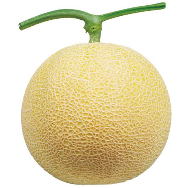 島根県産ご縁玉ゴールデンパールメロン1玉1.3kg以上【お届け期間:7月11日〜8月11日】【旬鮮便】【NN】 商品画像1