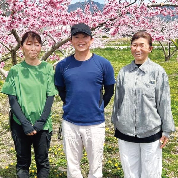山梨県産 甲州市大藤地区生産者グループの桃(夢みずき) 2kg5玉〜8玉 【限定100点】【お届け期間:7/10(金)〜7/20(月)】【MK】 商品画像1