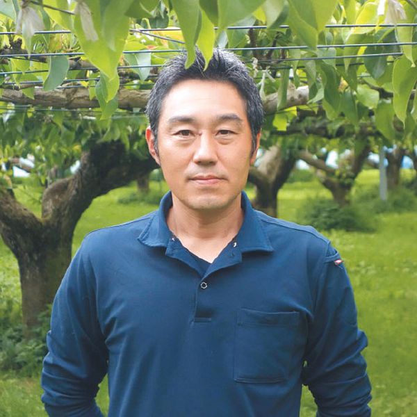 栃木県産JAうつのみや豊水梨(Premium13)4L・2.7kg・7玉「お届け期間」2025/9/9〜2025/9/30【KN】　商品画像1