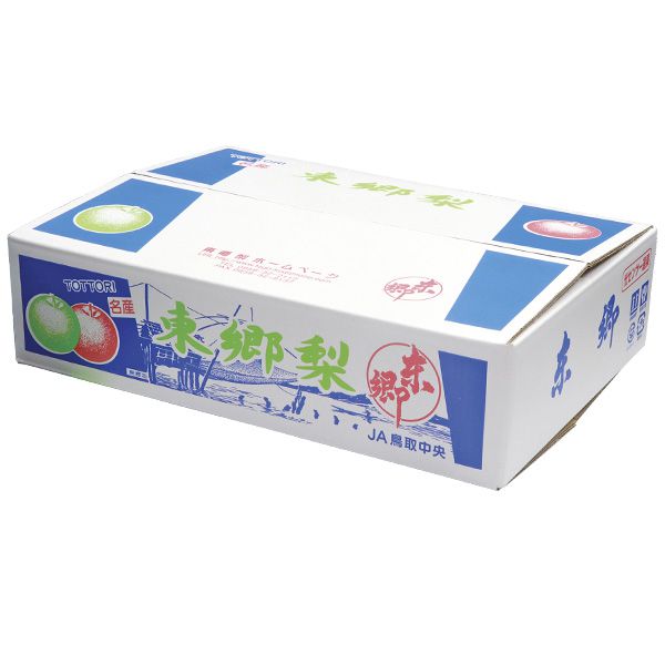 鳥取県産(JA鳥取中央) 東郷の秋栄梨 赤秀5kg2L16玉または3L14玉または4L12玉(お届け期間:8月21日〜9月10日)【NN】　商品画像1