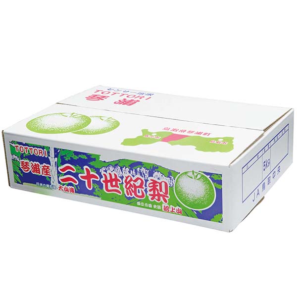 鳥取県産(JA鳥取中央)琴浦の二十世紀梨 赤秀5kg L18玉または2L16玉【お届け期間:8月26日〜9月25日】【梨ギフト】【NN】　商品画像1