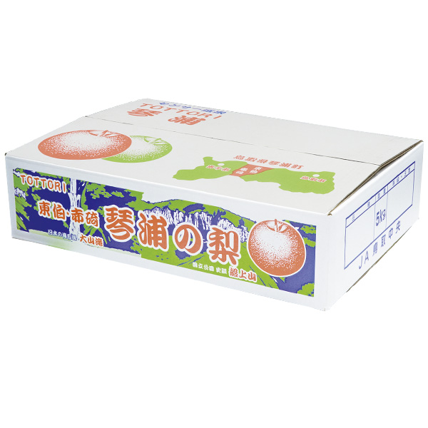 鳥取県産(JA鳥取中央)琴浦の秋栄梨 赤秀5kg 2L16玉または3L14玉【お届け期間:8月18日〜9月15日】【梨ギフト】【NN】　商品画像1